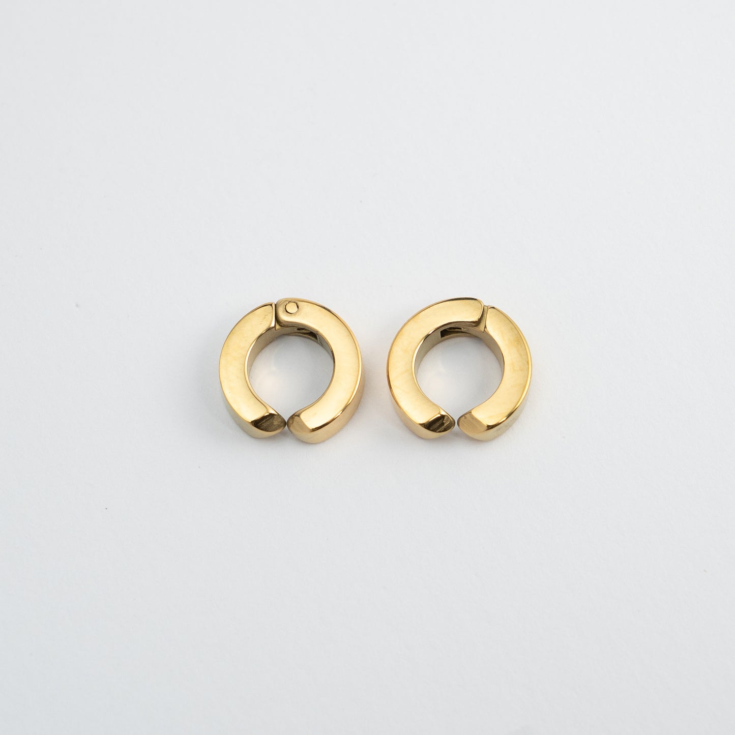 Punk Buckle Earrings