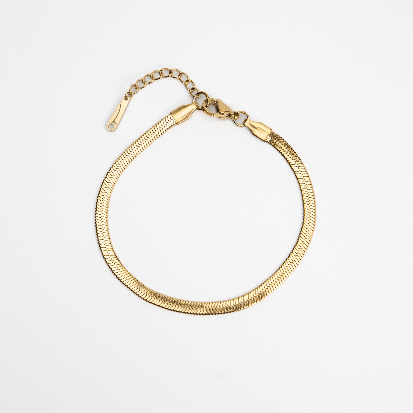 Snake Chain Anklet