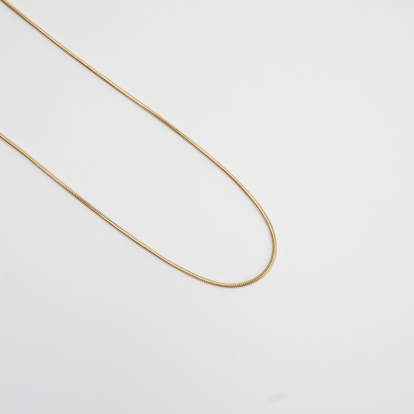 Snake Chain Choker Necklace